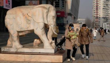 China's population falls again as births drop 17% a decade after the 1-child policy ended