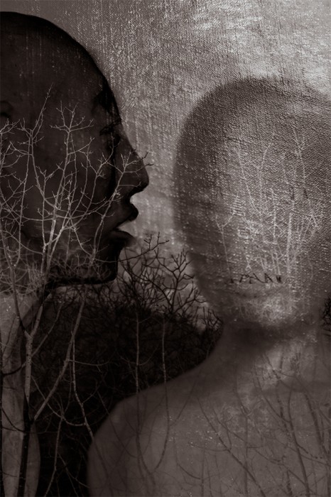 Carole Cavanaugh_Disquieting Muse - Carole Cavanaugh