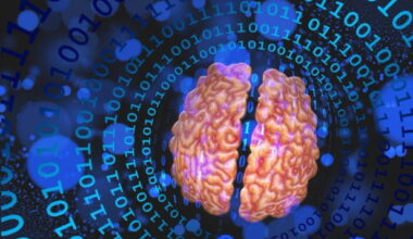 Consciousness May Depend on the Physics of the Brain, Not Just Code