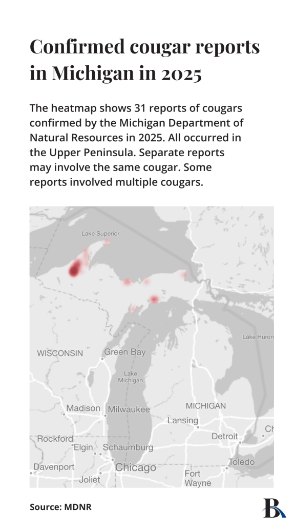 A map showing where cougars were spotted in 2025 in Michigan