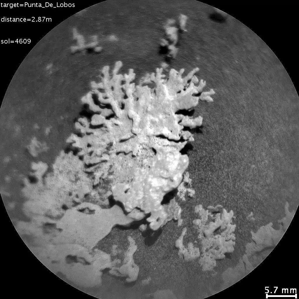 Coral Shaped Martian Rock Captured By Curiosity On Sol 4609