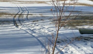 Snowmobile damage to Minot golf courses could lead to costly repairs