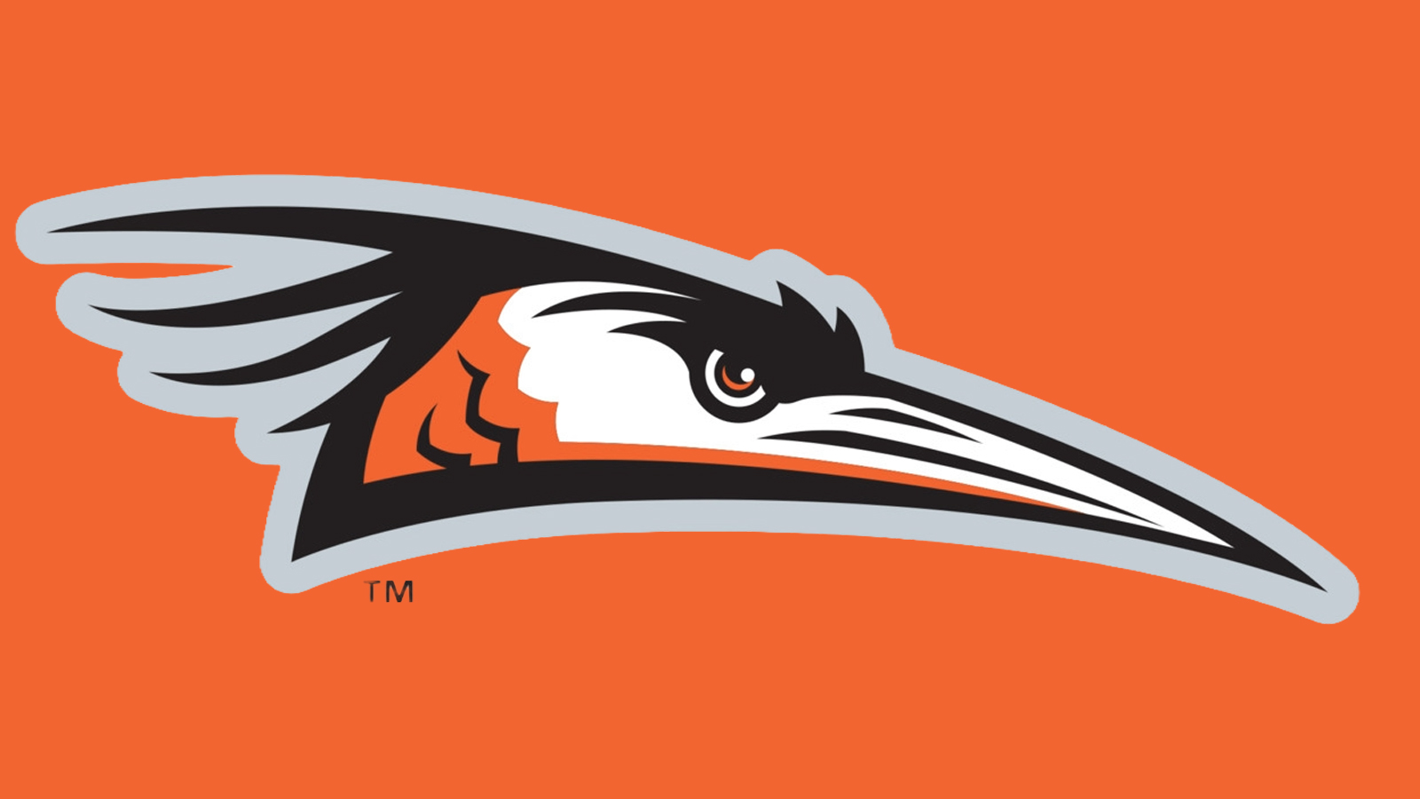 Shorebirds logo