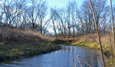 A view of restored oxbow wetland in Johnston, Iowa. Credit: Anika Jane Beamer/Inside Climate News