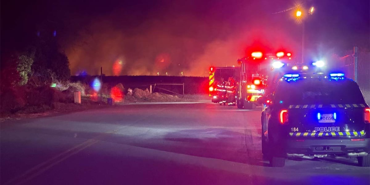 Multiple agencies responding to massive fire near Ravenel Bridge, I-26