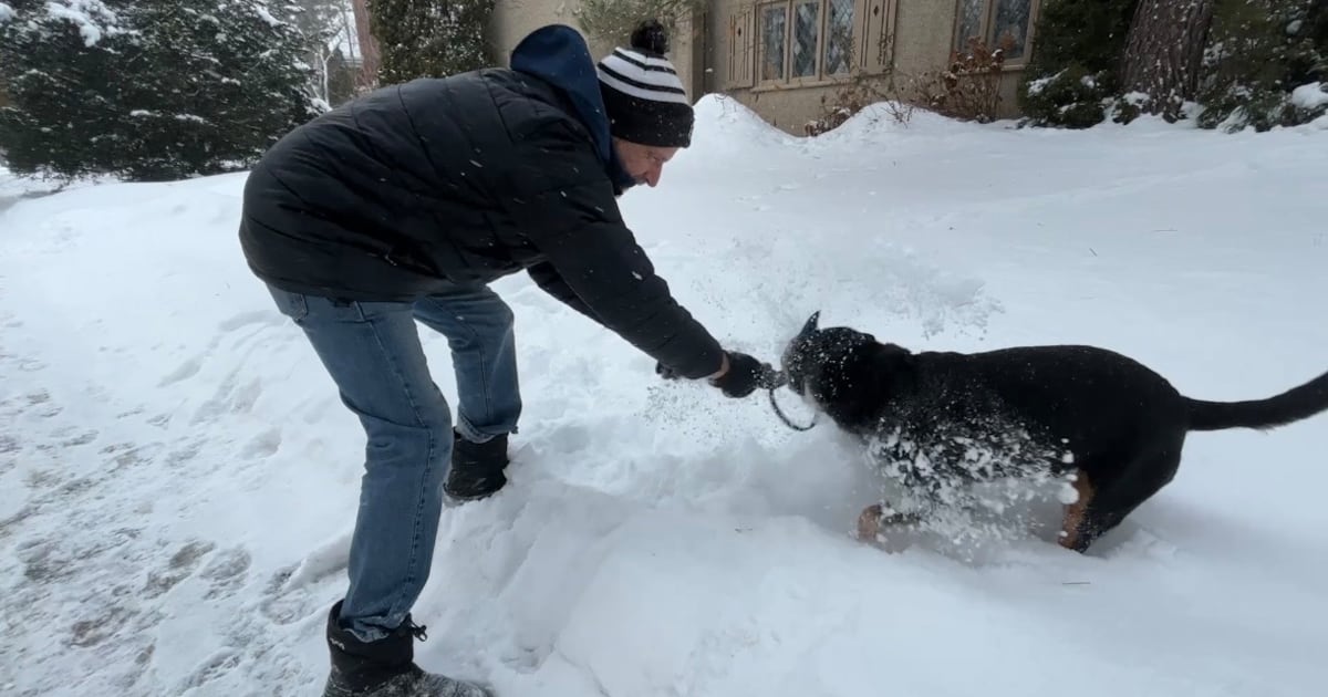 'Blue Monday': Expert tips on beating the winter blues - CTV News