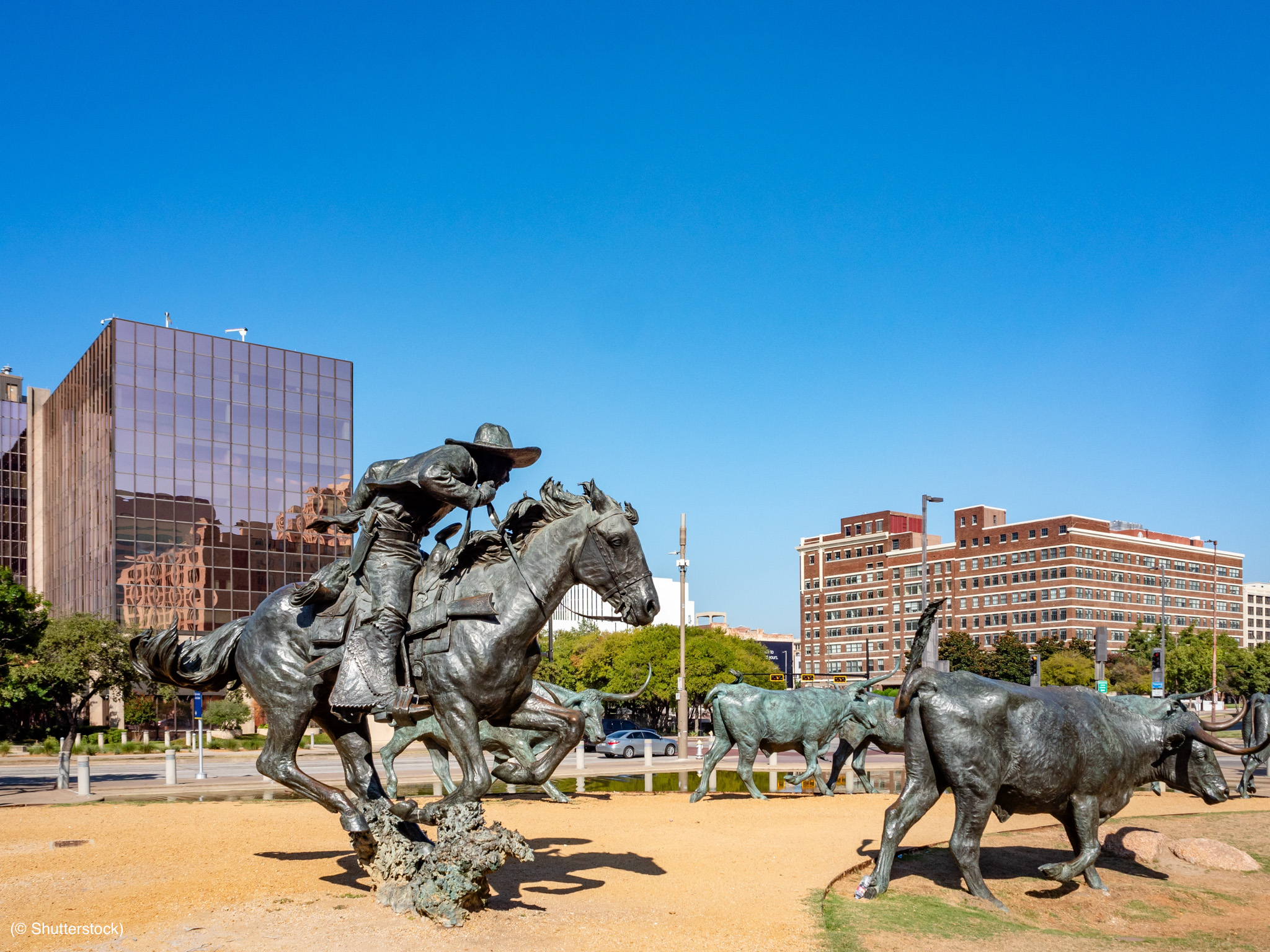 Sculptures of cowboy on horse rounding up cattle in Dallas (© Shutterstock)