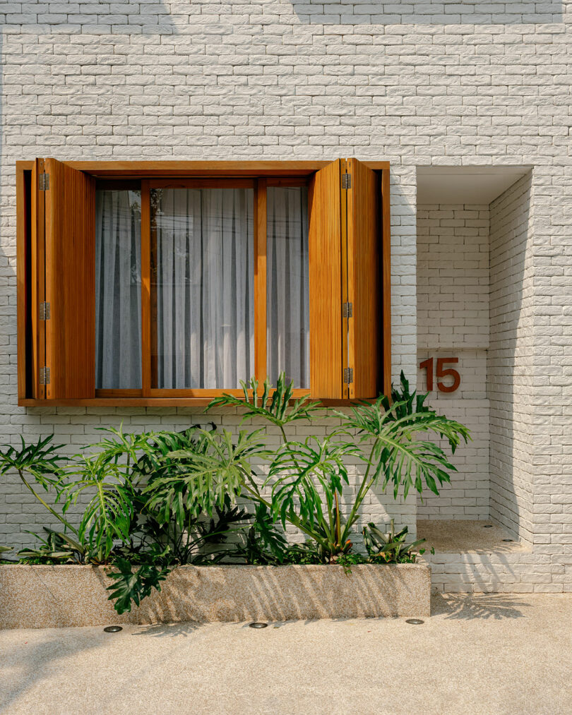 A white brick building facade with a wooden-framed window, partially open shutters, green plants below, and the number 15 mounted on the wall.