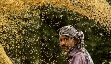 Why the world has started stockpiling food again – The Irish Times
