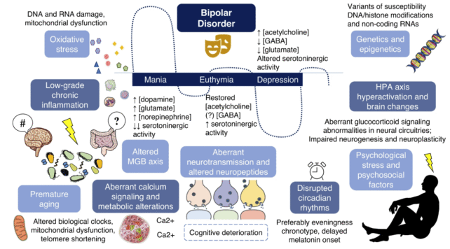 Genetic, lifestyle and environmental factors involved in bipolar disorder.