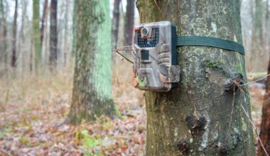 Trail Cam Captures Rare, White Elk in Montana