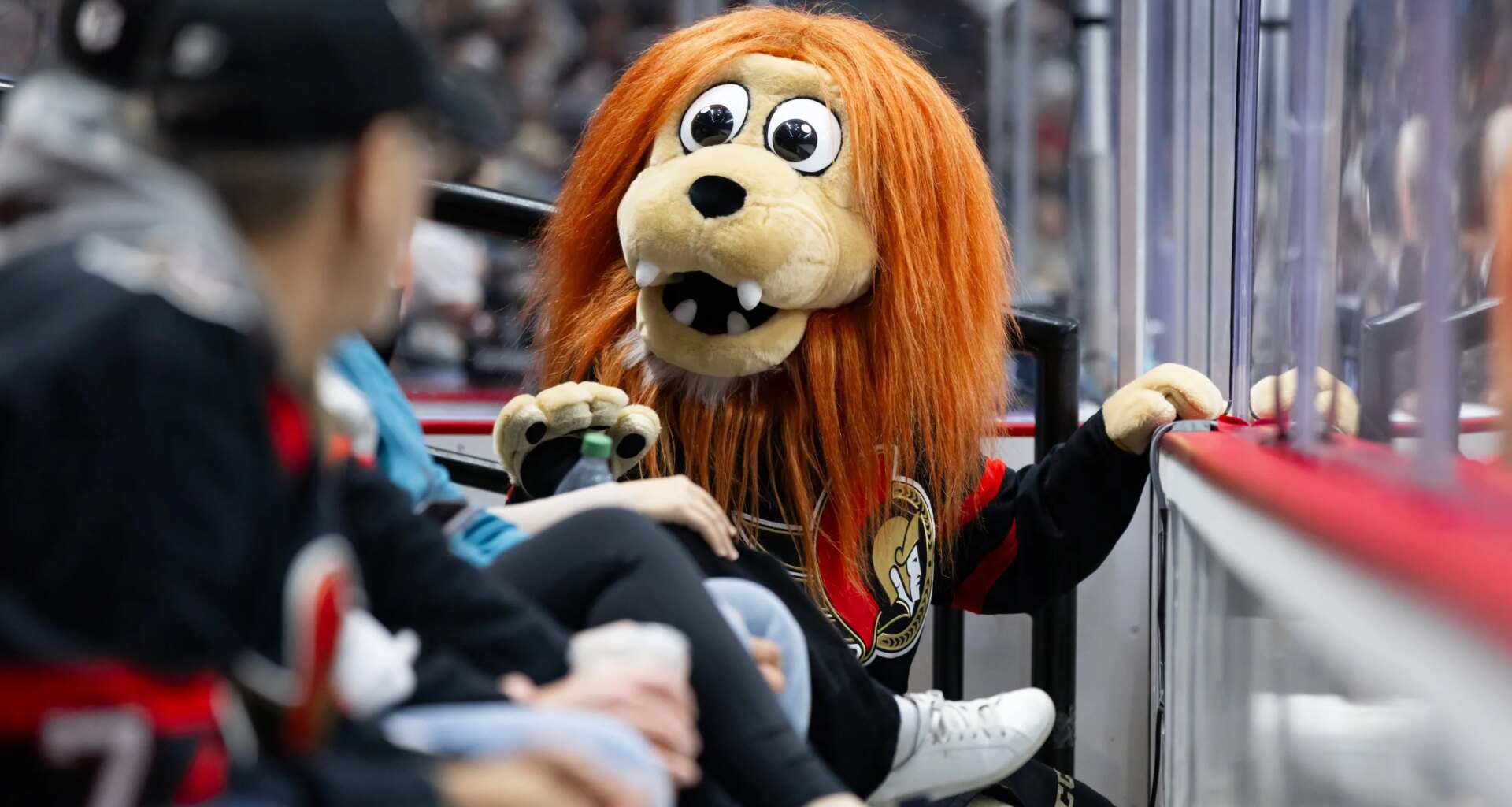 The Ottawa Senators Are Having A Normal One