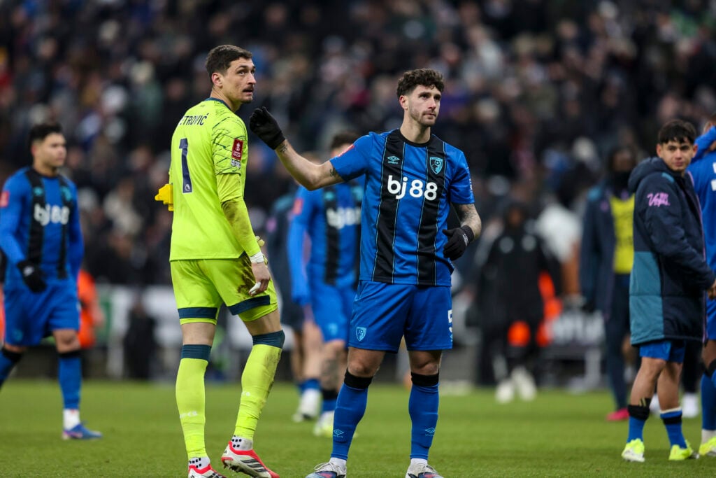 Đorđe Petrović and Marcos Senesi of Bournemouth