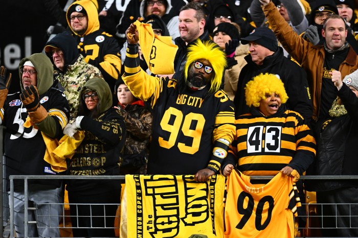 Pittsburgh Steelers fans in the stands