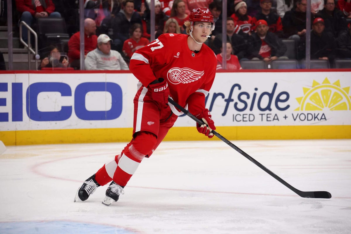 The Red Wings’ depth has arrived. With Simon Edvinsson out, it will now be tested
