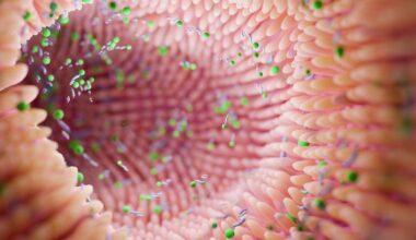 Scientists Link Gut Bacteria to Bipolar Depression in Mouse Study : ScienceAlert