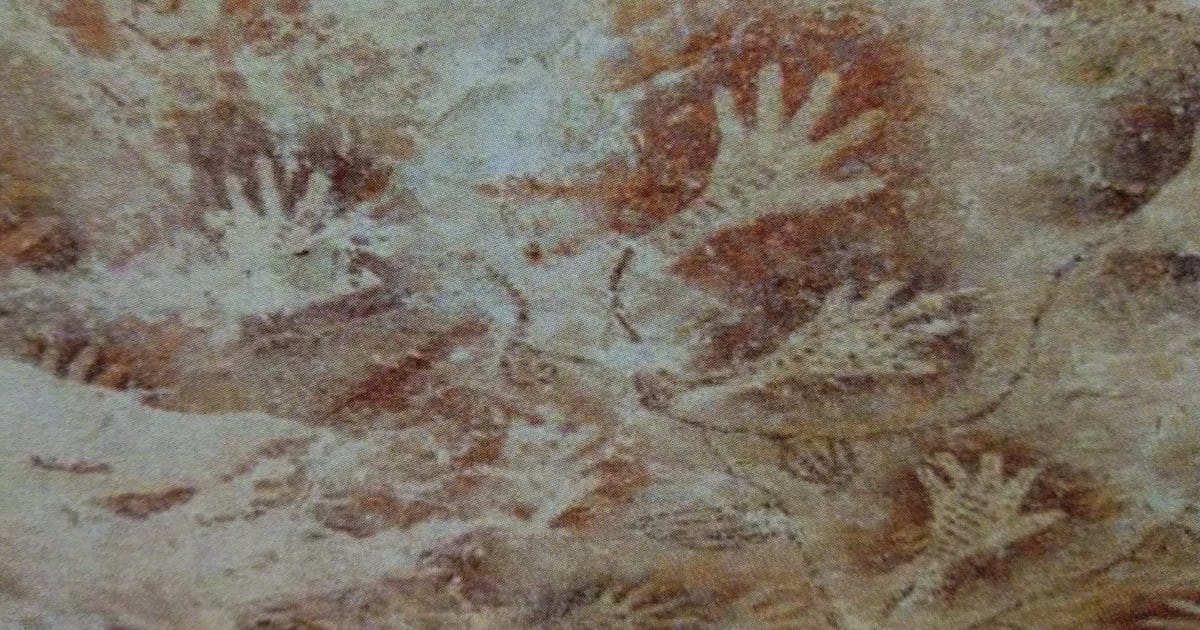 Killer Whale Gang Develops New Language to Terrorize Ships - The Daily Beast