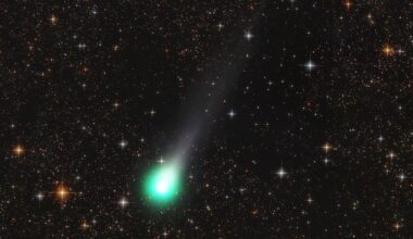 A green ball of light showing comet Lemmon streaks across an orange and black night sky full of stars.