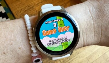 Flappy Bird on a Garmin? This $2 app is pure chaos in the best way