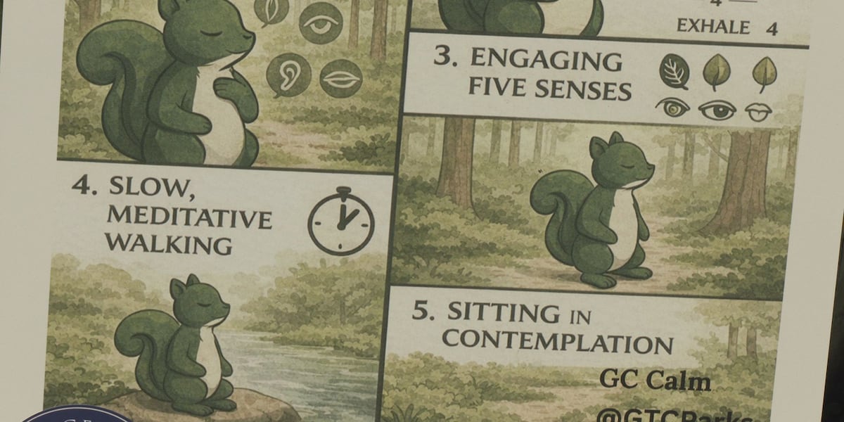 Georgetown County introduces ‘calm spots’ for mental health