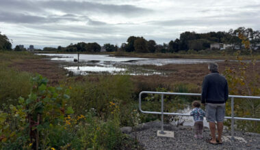 An adult and child look out over the bluebelt on a cloudy day.