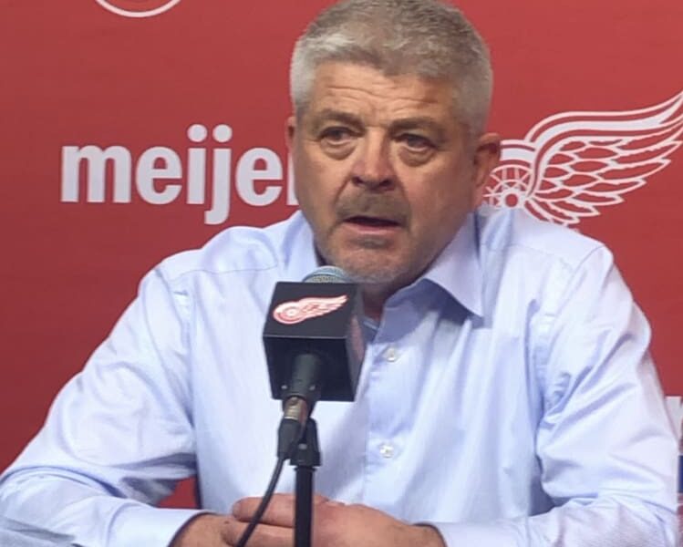 Todd McLellan, Red Wings