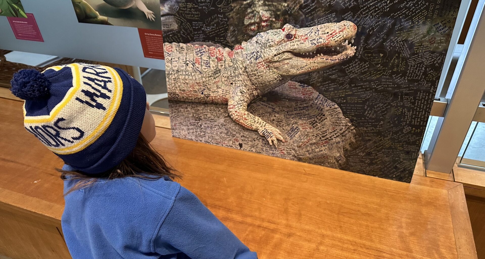 Which S.F. street did you vote to rename for Claude the Alligator?