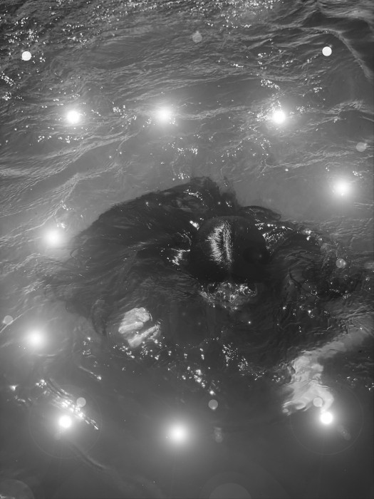 IMG_9396 bn - Melina Barberi