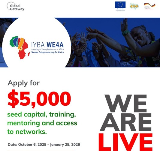 Calling all Applicants! Women Entrepreneurship for Africa (IYBA WE4A) Programme 2025–2026