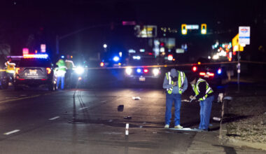 A pedestrian has died after being hit by a truck Sunday night....