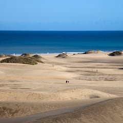 Historic ocean discovery: “Hideous” shark species seen off the coast of Spain for the first time