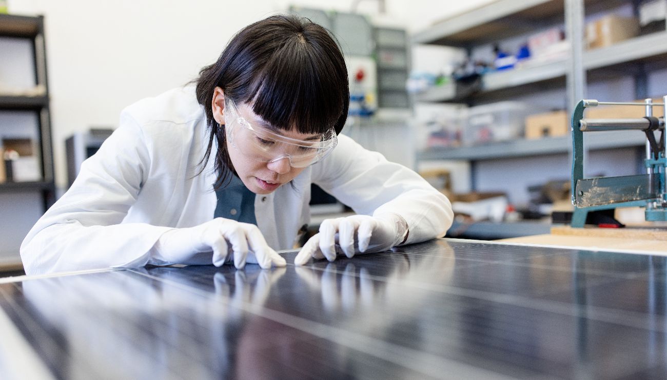 Renewables Jobs See First Slowdown Amid Global Deployment Growth