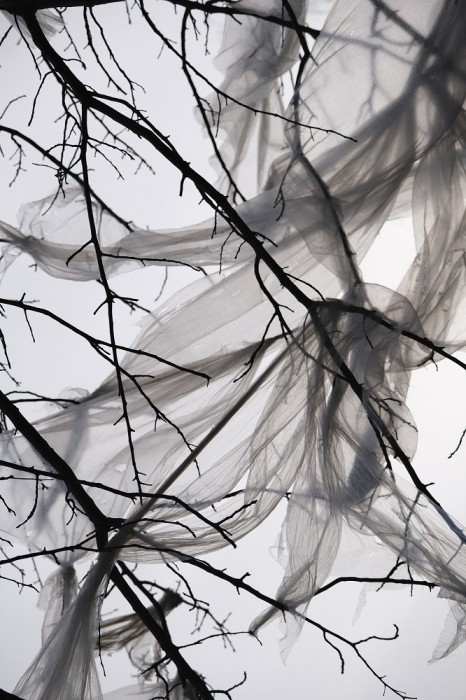 Kinga_Owczennikow_White Veil - Kinga Owczennikow