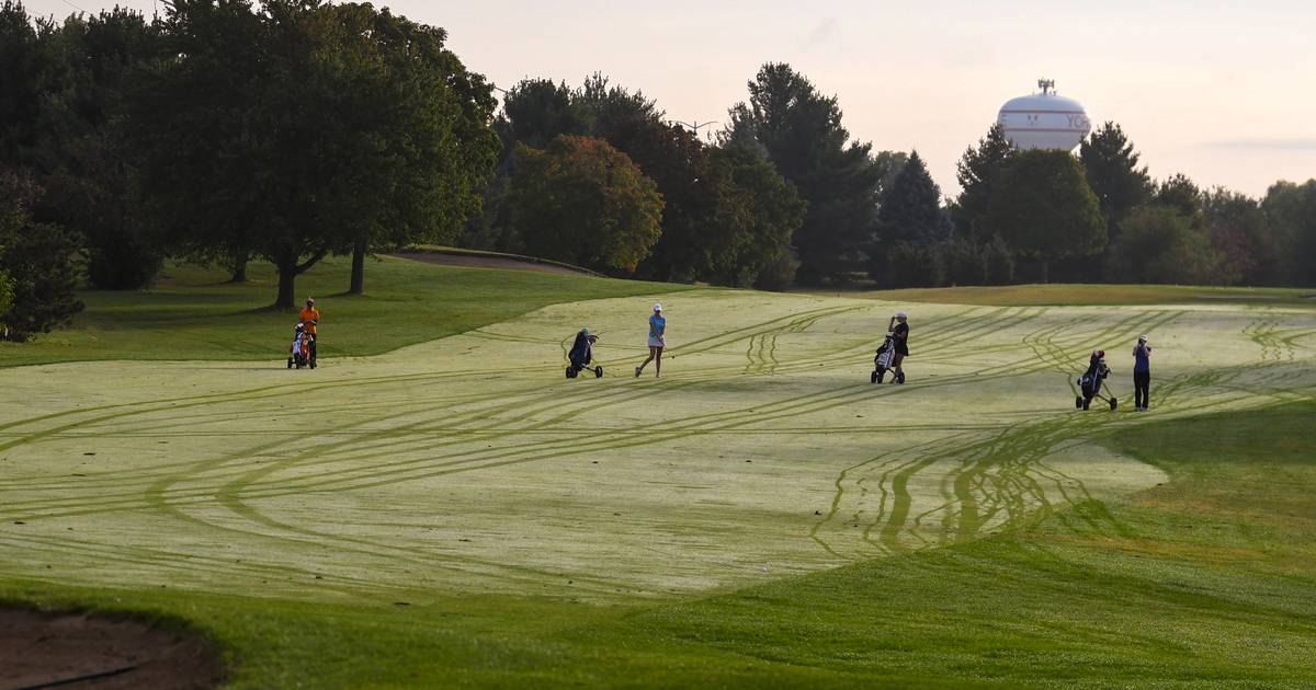 Yorkville looks to acquire part of Blackberry Oaks Golf Course for Kennedy Road expansion – Shaw Local