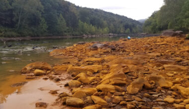 Lick Run, a tributary to West Virginia’s Cheat River, is one of many waterways in Appalachia that are impaired by pollution from coal mining. Acid mine drainage can create a reddish coloring in affected streams. Credit: Courtesy of Friends of the Cheat