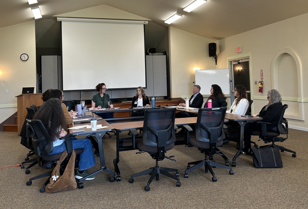 Shasta HHSA Director calls for fewer meetings of a mental health board tasked with overseeing some of her work – Shasta Scout