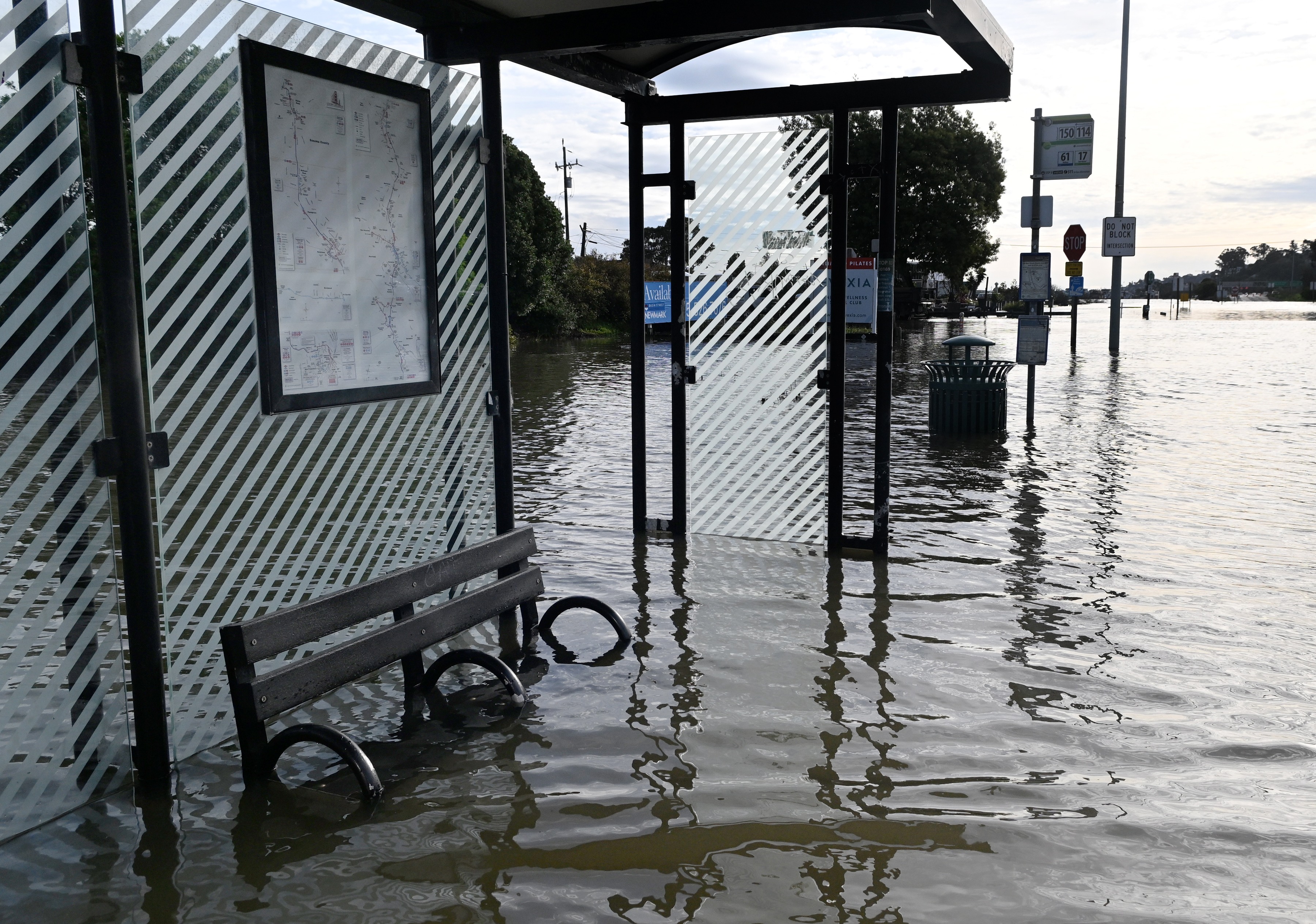 A bus stop bench near Pohono Street is partially submerged...