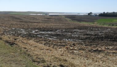 Stretched Thin, Iowa Agency Issues Few Fines for Manure Pollution