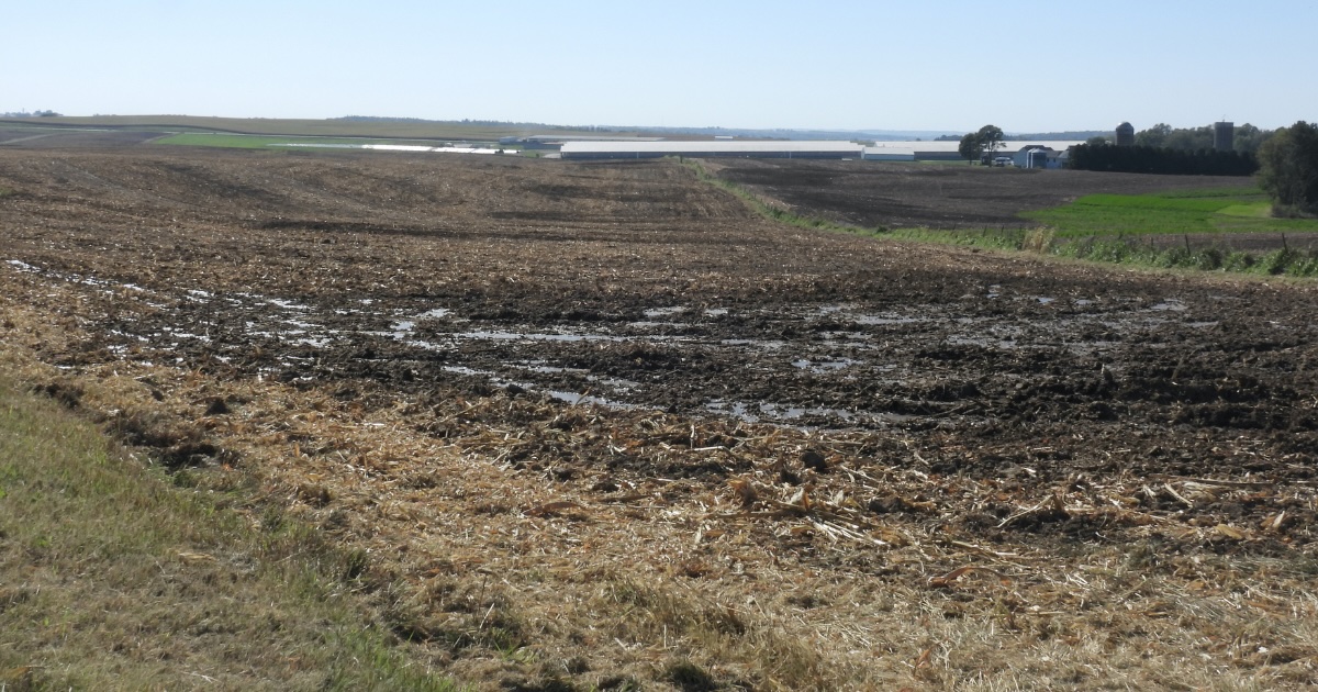 Stretched Thin, Iowa Agency Issues Few Fines for Manure Pollution
