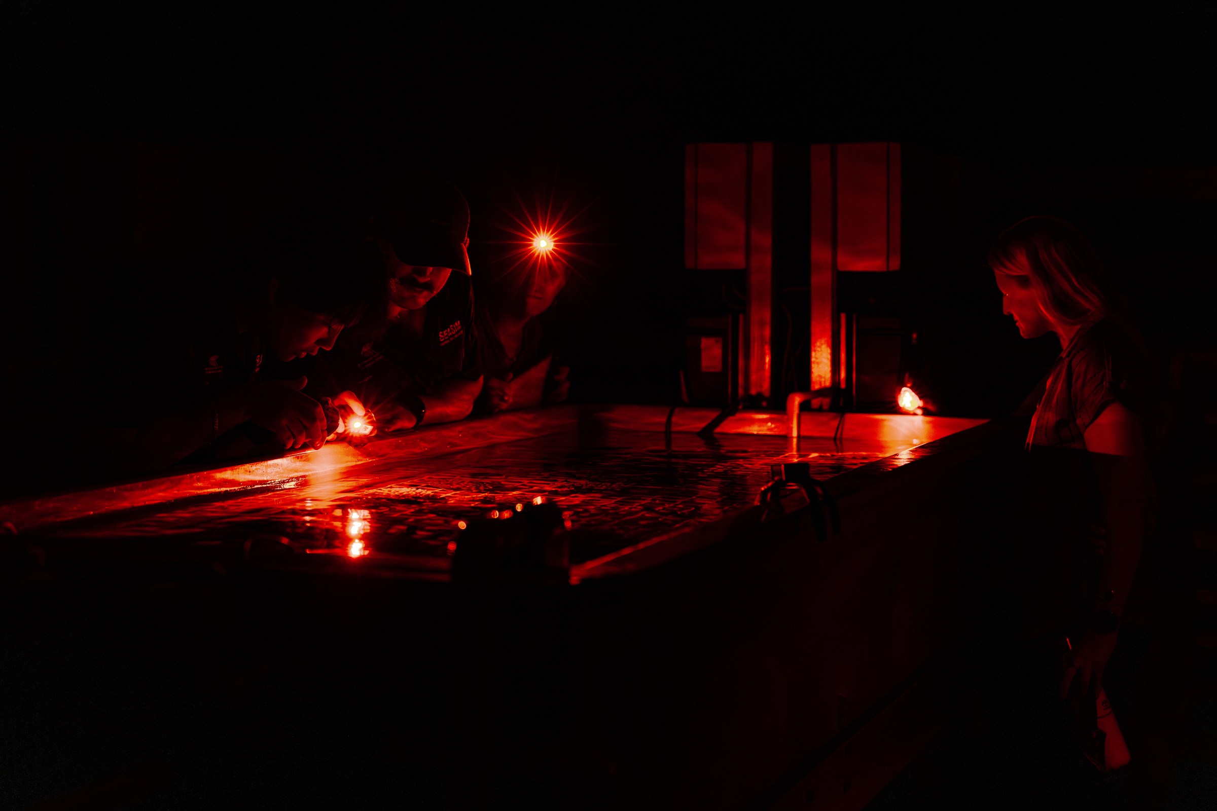 Corals illuminated with red light