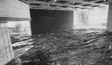 How Many International Laws Can the United States Break Against Venezuela and Still Get Away with It?: The Second Newsletter (2026)