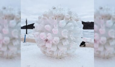 Team USA Sneaks Anti-ICE Protest Into Snow Sculpture - The Daily Beast