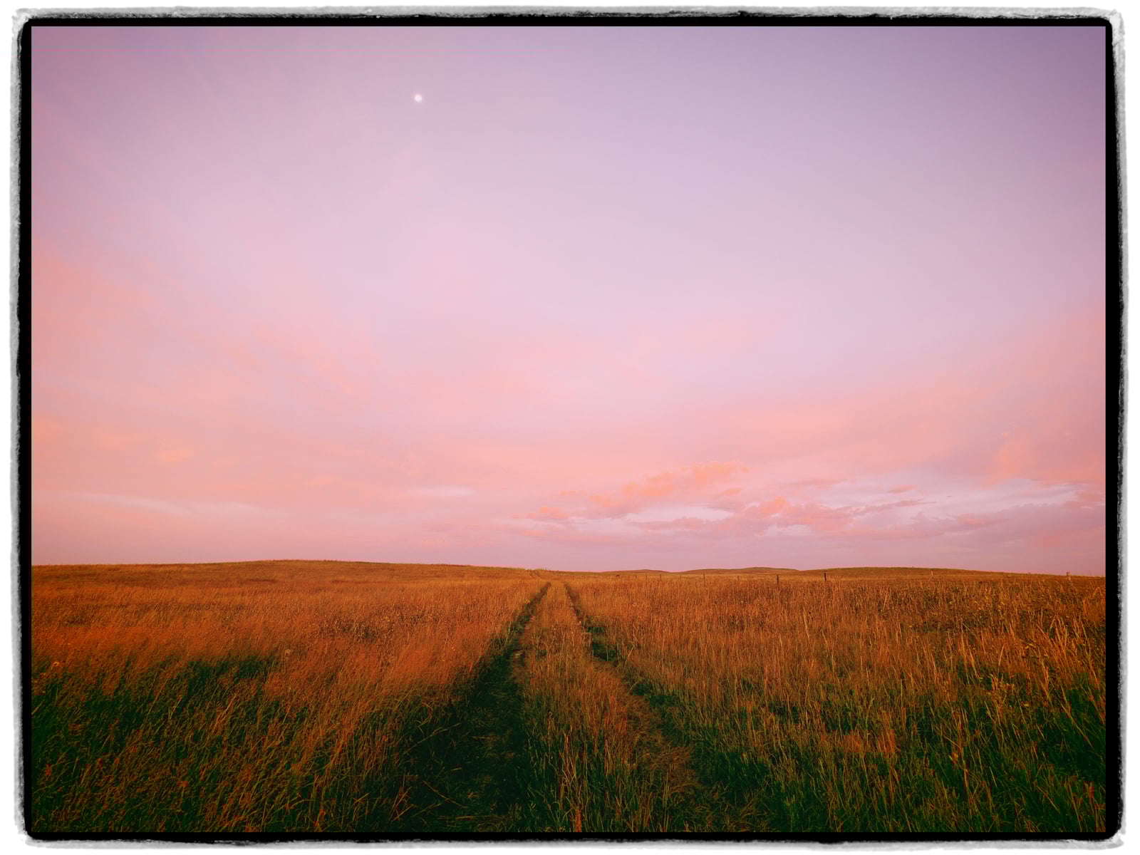 A dirt path runs through a field of tall, golden grass under a pastel pink and purple sky at dusk, with the moon visible near the horizon.