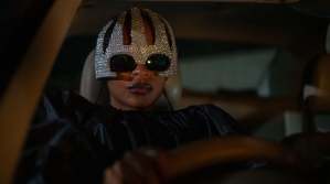 On Becoming a Guinea Fowl