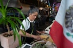 Betty Ramirez works the line at Mis Tacones restaurant in Portland, Ore. on Thursday, Jan. 29, 2026.
