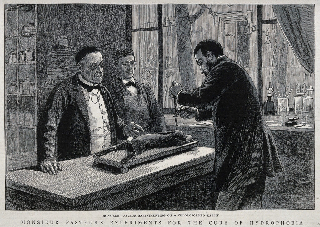 Engraving of Louis Pasteur (left) and a colleague (probably Émile Roux) experimenting on a chloroformed rabbit during the search for a treatment for rabies.
