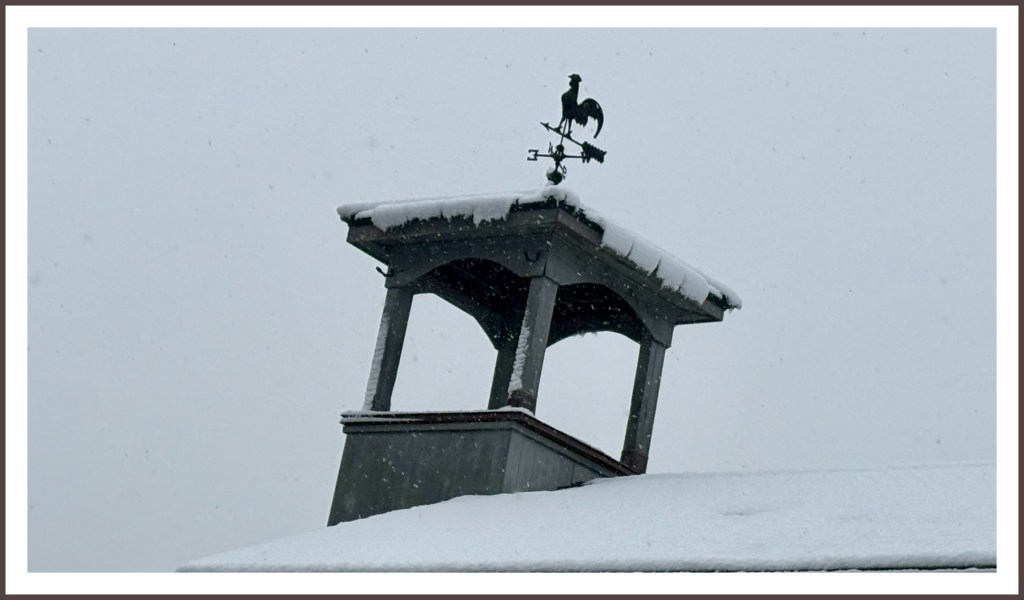 Photo Challenge #578 | 06880