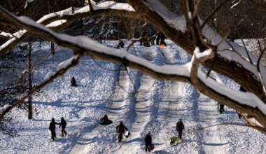 Canadian kids on a snowy day sledding down a hill.