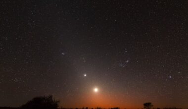 A glowing series of bright dots light up a starry night sky with an orange glow toward the bottom of the image where silhouettes of trees can be seen