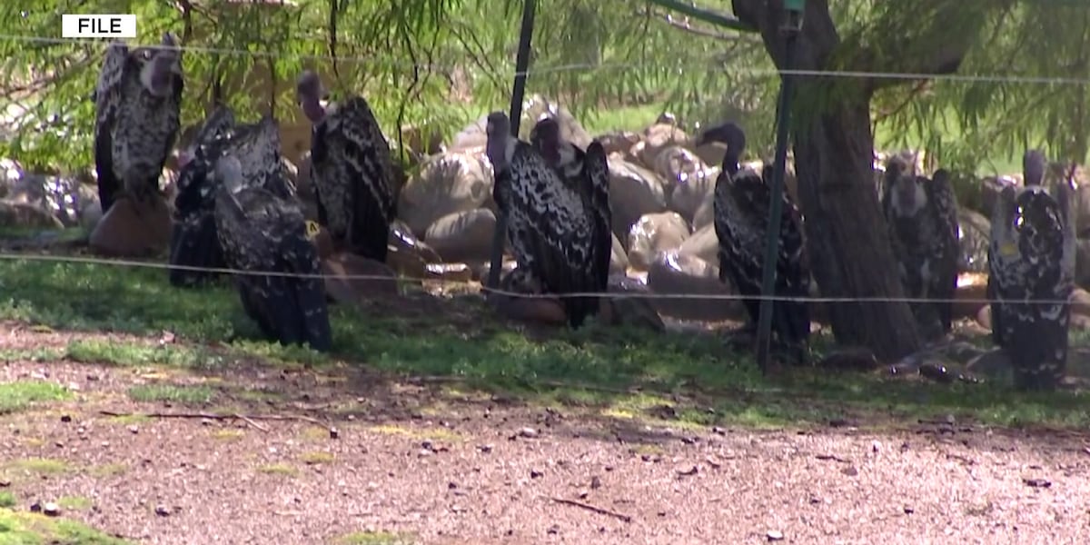 E. coli outbreak prompts push for hand-washing at petting zoos